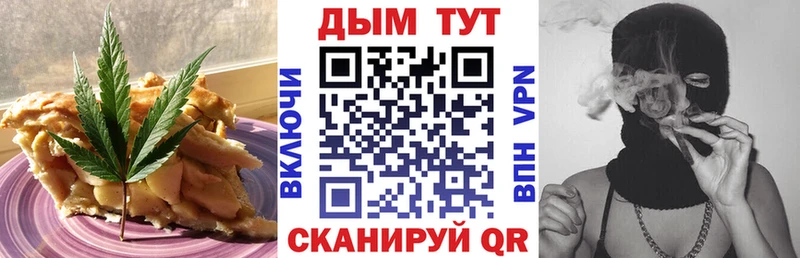 где продают наркотики  MEGA tor  Cannafood конопля  Каменногорск 