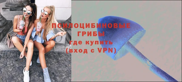 MESCALINE Алзамай