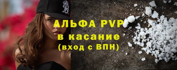 хмурый Алексин
