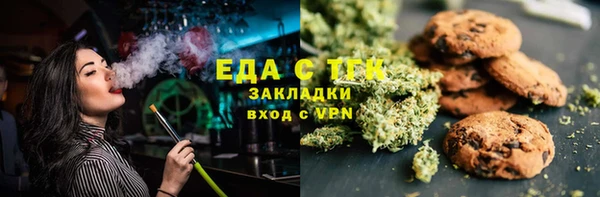 хмурый Алексин