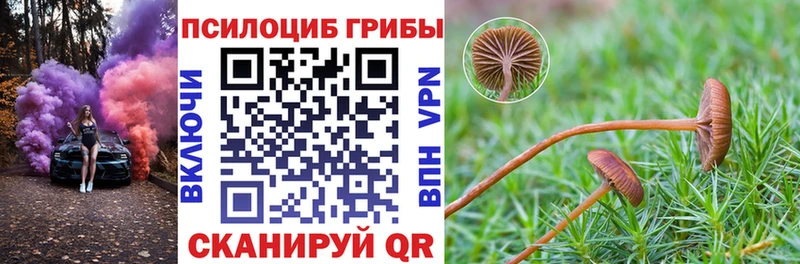 гидра вход  Каменногорск  Псилоцибиновые грибы MAGIC MUSHROOMS 